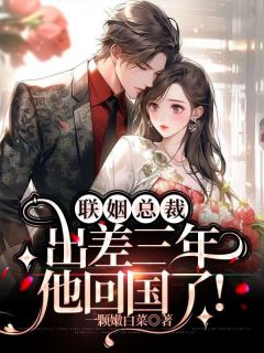 《联姻总裁他出差三年,回国了!》小说完结版精彩试读 夏暖心陆胤承小说全文