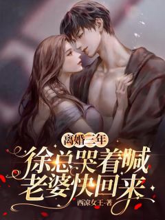 离婚三年，徐总哭着喊老婆快回来白惠徐长风免费在线免费试读