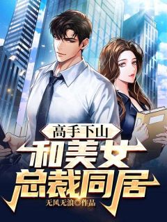 《高手下山：和美女总裁同居》小说章节目录免费阅读 林岩赵心灵小说全文