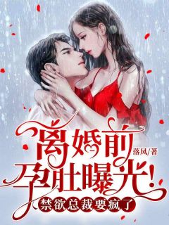 《离婚前,孕肚曝光!禁欲总裁要疯了》小说全文在线试读 唐安宁陆祁深小说全文