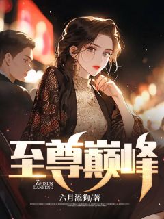 《至尊巅峰》陈凡王秀琳全文免费阅读