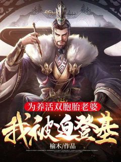 为养活双胞胎老婆，我被迫登基！免费阅读(陈业楚婉月全本资源) 无广告