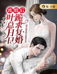黎夏叶庭深小说 离婚后，叶总日日跪求复婚(黎夏叶庭深)小说阅读