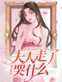 离婚你提的,夫人走了哭什么夏恩星陆沧夜全文免费试读