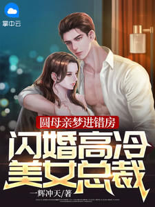 《圆母亲梦进错房，闪婚高冷美女总裁！》小说章节列表在线试读 杨萧南宫婉儿小说阅读