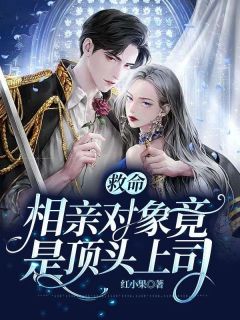 相亲当天,我和总裁上司领证了