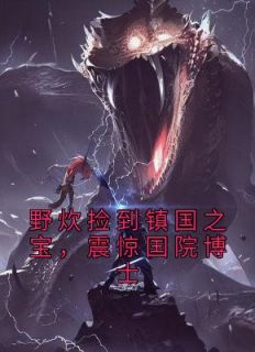 野炊捡到镇国之宝,震惊国院博士