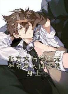 《北方大陆药王元神附身人间小伙身上》小说大结局精彩试读 江宁花花小说阅读