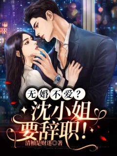 《无婚不爱？沈小姐要辞职！》沈晚意薄寒川小说精彩内容免费试读