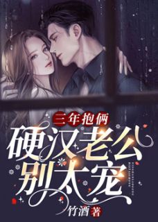 三年抱俩，硬汉老公别太宠(林书晚傅斯年)全文完结在线阅读完整版