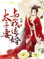 《铁打的太子妃，流水的太子》小说完结版在线阅读 林宛瑜陆展博小说全文