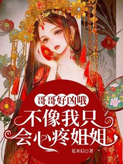 《哥哥好凶哦，不像我只会心疼姐姐》小说章节目录免费阅读 林叁淮年罹小说全文