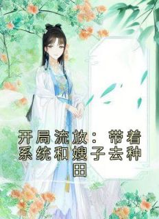 《燕云穿越被抄家》小说章节精彩阅读 燕云舒心小说阅读