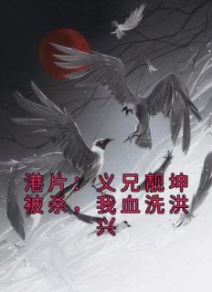 港片:义兄靓坤被杀,我血洗洪兴小说精彩章节免费试读(主角苏琛丁瑶)