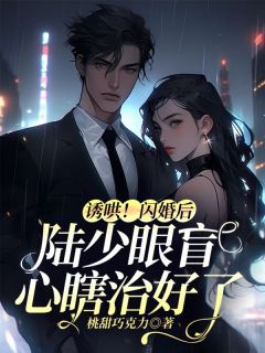 《诱哄！闪婚后陆少眼盲心瞎治好了》苏念念陆修远小说精彩章节在线阅读