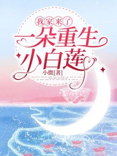 《我家来了一朵重生小白莲》小说全文精彩阅读 叶萌叶良小说全文