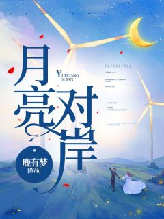 月亮对岸精彩章节全文全集精彩试读 月亮对岸小说免费阅读