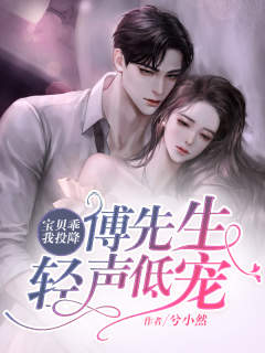 小说《宝贝乖我投降,傅先生轻声低宠》沈词安傅时屿全文免费阅读