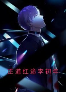 《正道红途李初年》小说全文免费试读 李初年童肖媛小说阅读