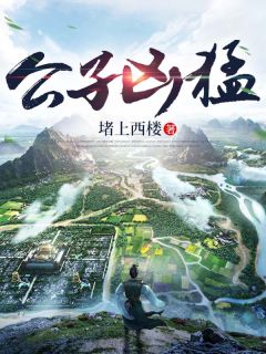 公子凶猛完整版 傅小官董书兰全章节阅读