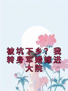 《穿成小可怜？我转身军婚嫁兵哥》小说全文免费试读 林曦纪晏殊小说阅读