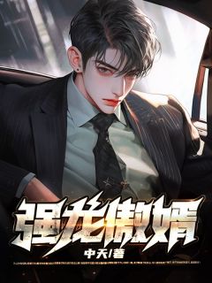 《强龙傲婿》小说章节列表精彩试读 苏尘徐柔芷小说全文