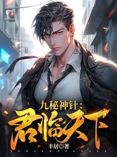 九秘神针:君临天下