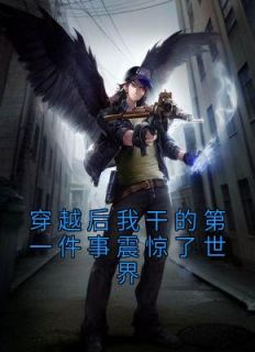 林昊赵灵儿小说 《穿越后我干的第一件事震惊了世界》小说全文精彩试读