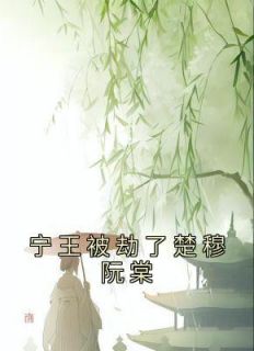 《宁王被劫了楚穆阮棠》小说大结局在线试读 阮棠楚穆小说全文