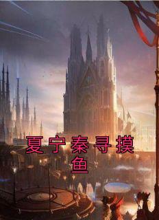 精品《夏宁秦寻摸鱼》小说免费试读 秦寻夏宁小说全集无删减全文