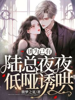 诱为己有:陆总夜夜低哑诱哄