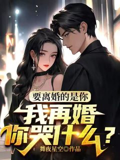 《要离婚的是你，我再婚你哭什么？》小说章节列表精彩阅读 叶明秦丽雅小说阅读