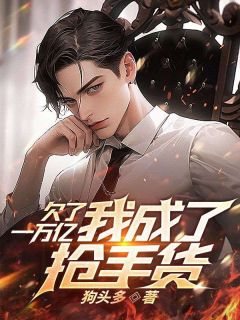 欠了一万亿,我成了抢手货