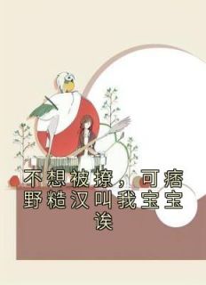 热文《不想被撩，可痞野糙汉叫我宝宝诶》林乔江野小说全文无弹窗阅读