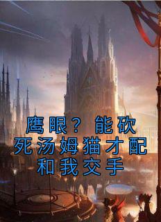 鹰眼？能砍死汤姆猫才配和我交手