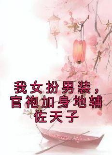 我女扮男装,官袍加身地辅佐天子