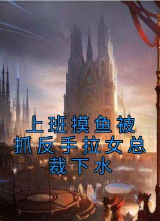 上班摸鱼被抓反手拉女总裁下水小说全集免费免费试读（秦寻夏宁）