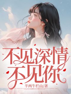 沈见鹿林见深章节目录 不见深情不见你全文阅读