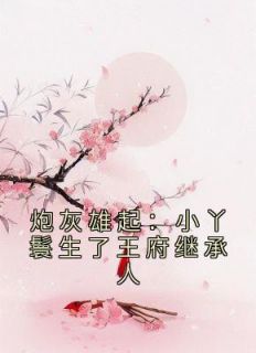 炮灰雄起:小丫鬟生了王府继承人