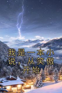 我是一本小说，从笑傲开始