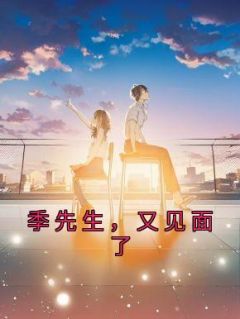 季先生,又见面了