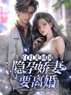 《白月光回国,隐孕娇妻要离婚》云若锦沈霆修完结版免费试读