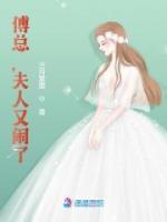 《傅总，夫人又闹了》小说章节免费试读 沈嘉念傅寄忱小说阅读