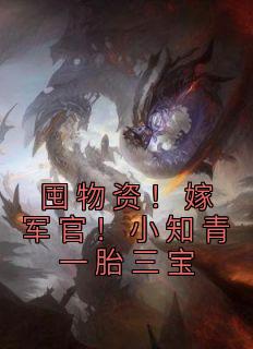 《囤物资！嫁军官！小知青一胎三宝》小说全文免费试读 徐宁陆笑堂小说全文