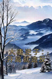 《大唐逆子:开局就造反》小说大结局在线阅读 李承风李世民小说阅读