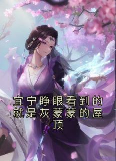 宜宁睁眼看到的就是灰蒙蒙的屋顶赵宜宁李世则阅读_宜宁睁眼看到的就是灰蒙蒙的屋顶文本在线阅读