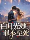 白月光她罪不至死星辰陆寻舟 by念儿不打烊完整在线阅读