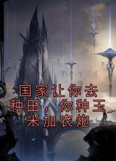 国家让你去种田,你种玉米加农炮