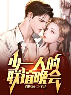 《少一人的联谊晚会》小说完结版在线试读 小柔小雅小说阅读