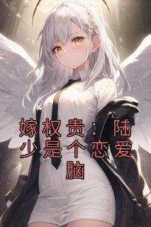 《嫁权贵：陆少是个恋爱脑》乔念陆南淮小说精彩章节在线阅读